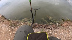 на что клюёт осётр на платниках