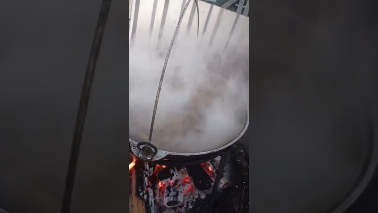 село Усть-Кокса песня #природа #лето #горы #Алтай смотреть онлайн