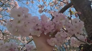 Как долго я ждала этот день ! Лондон