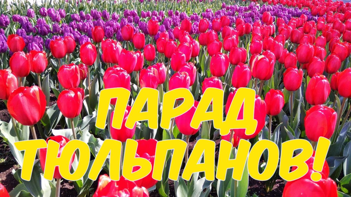 Ловите яркое настроение! Приморский бульвар. Севастополь!