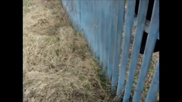 прыжок через забор смотреть онлайн