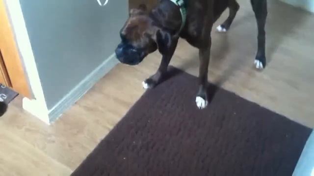 Diesel likes limes :-) смотреть онлайн