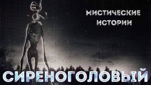 СИРЕНОГОЛОВЫЙ! Страшные истории на ночь. Страшилки из жизни. Кошмары