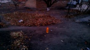 Бомба из Фольги и Крота