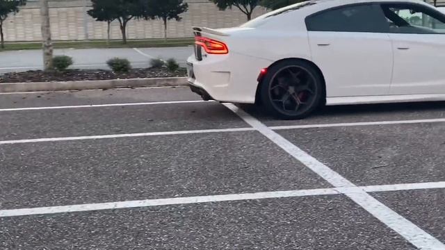 Took my SCAT PACK 392 to CAR MEET IN JACKSONVILLE *GTA in REAL LIFE смотреть онлайн