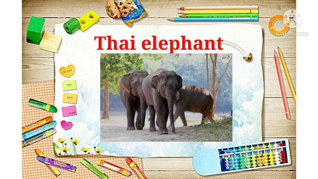 #priyanshjain#nationalanimal#general knowledge#world knowledge#gk#questionanswer# смотреть онлайн