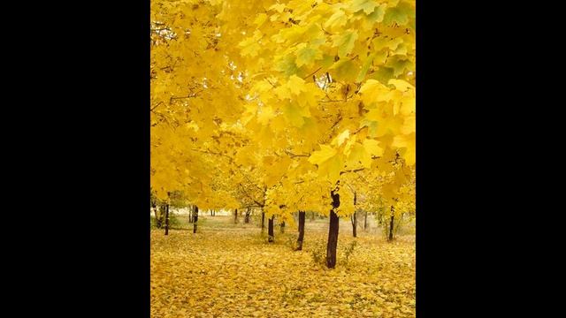 Рубрика "Осенний вернисаж". Борис Пастернак смотреть онлайн