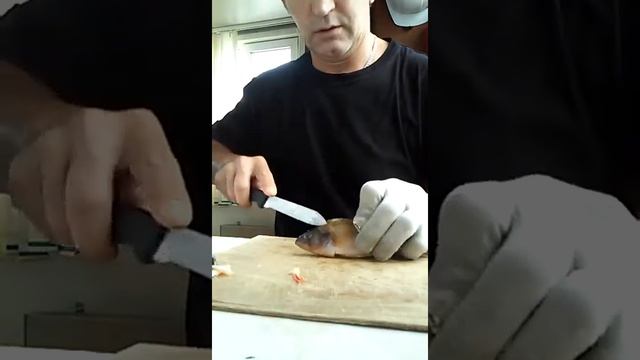как легко и быстро почистить замороженного окуня смотреть онлайн
