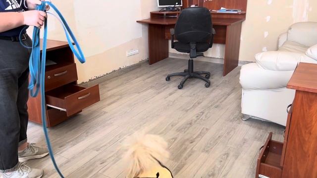 Скубак Катерина та Белла, клас 0, приміщення, Кубок Носус 18.05.24 смотреть онлайн