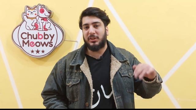 Very Economical Cat Litter | Wooden Pallet Cat Litter | Best & Cheap Cat Litter смотреть онлайн