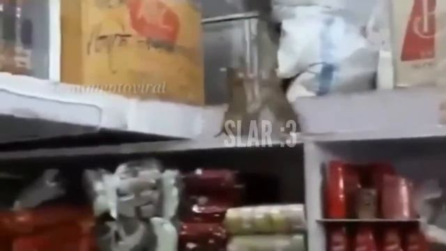 САМОЕ СМЕШНОЕ ВИДЕО 2018!УЛЬТРА ТЕСТ НА ПСИХИКУ,ПОПРОБУЙ НЕ ЗАСМЕЯТЬСЯ!! смотреть онлайн
