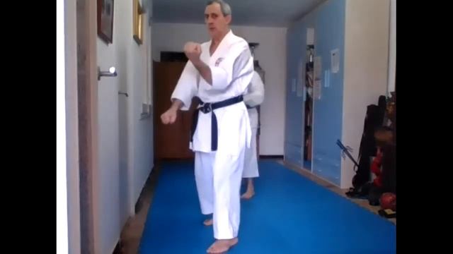 XXXVIII Entrenamiento Karate club Hirota en el Confinamiento. Santiago Cerezo y Nancy Páez. 22-1-21 смотреть онлайн