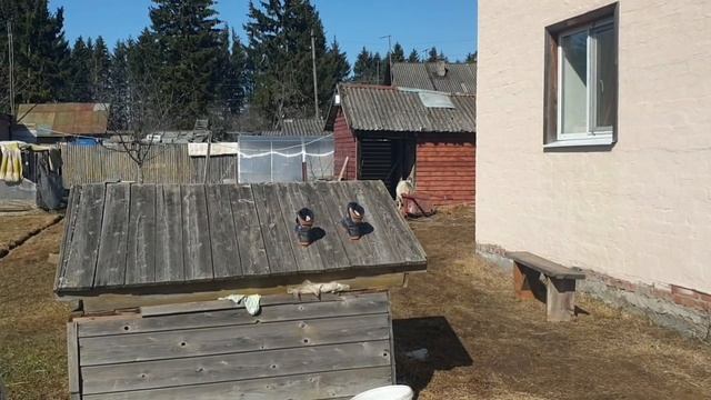 Выходные будни/Влог/Банный день смотреть онлайн