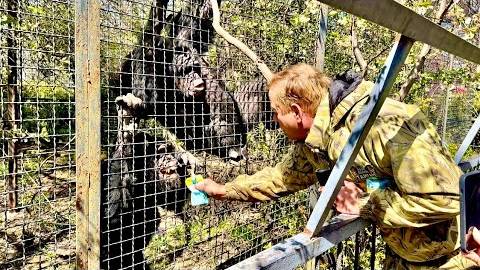 Шимпанзе Джуди просто гнобит Сеню пока Олег Зубков рассказывает об очень серьезных вещах! смотреть онлайн
