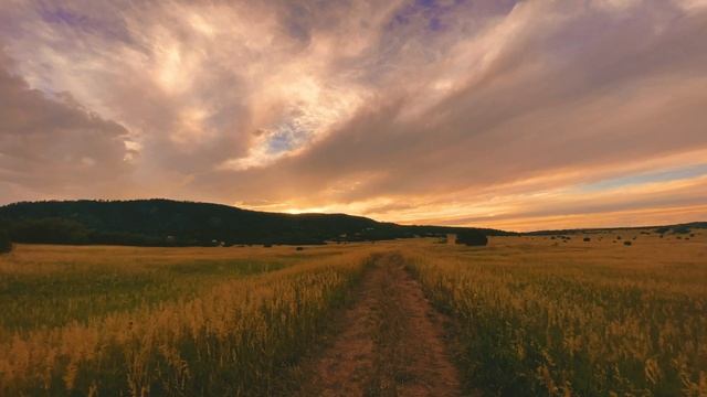 Strong beautiful epic music on the background of beautiful nature Free Stock Music No copyright смотреть онлайн