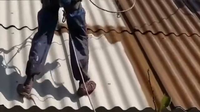 Покраска шиферной крыши.