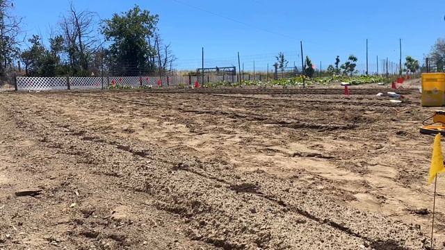 Salsa Verde Garden! смотреть онлайн