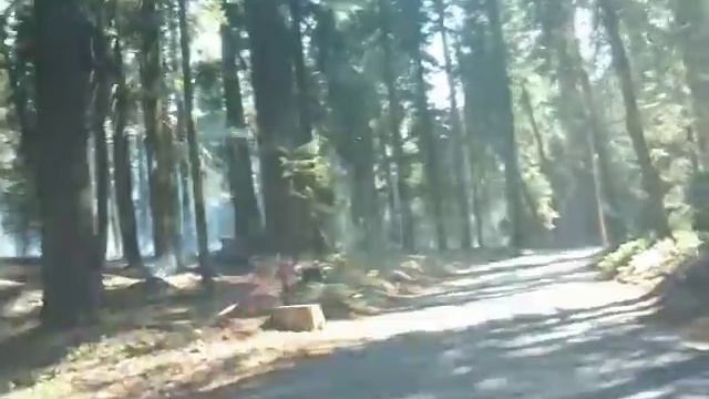 Drive through from Crescent Meadow to Tunnel Log during prescribed fire, Sequoia National Park смотреть онлайн
