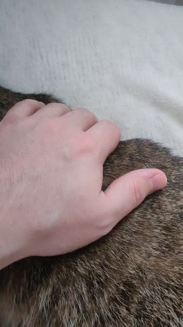 Башня на Оке