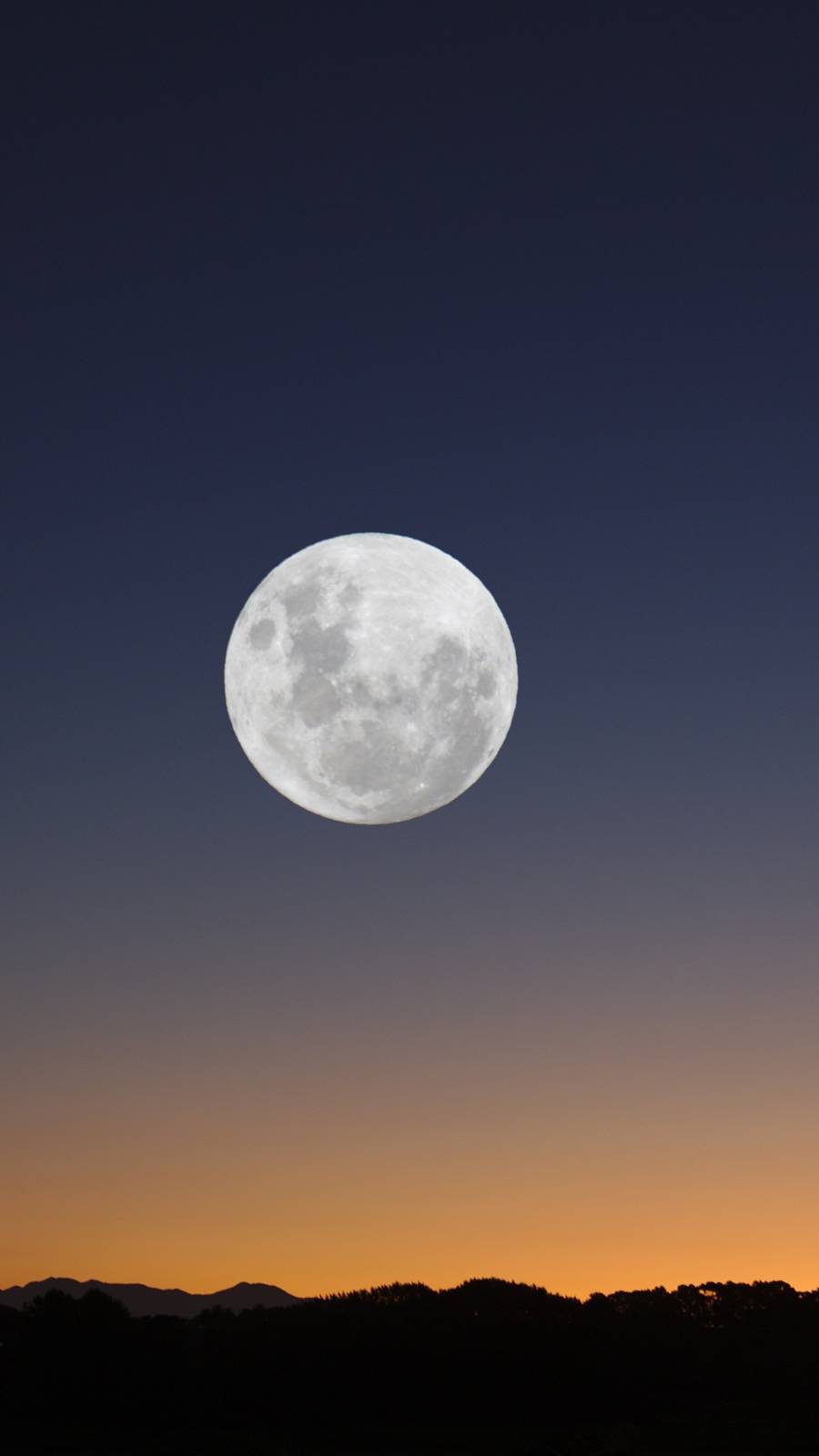 играем в Fancade