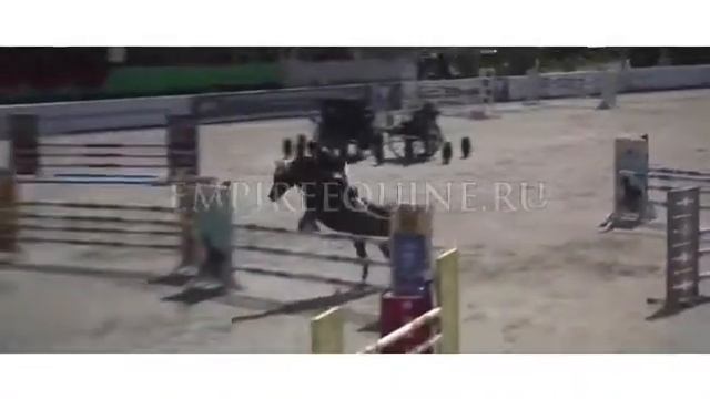 1558 смотреть онлайн