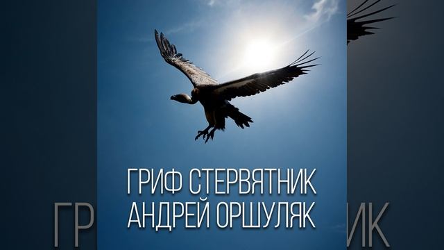 Почему так смотреть онлайн