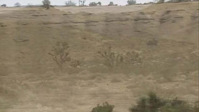 The Desert Tortoise: A Delicate Balance смотреть онлайн