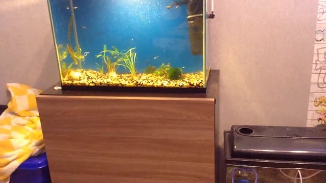 Что изменилось 2. смотреть онлайн