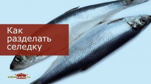 Как почистить и разделать Соленую Селедку