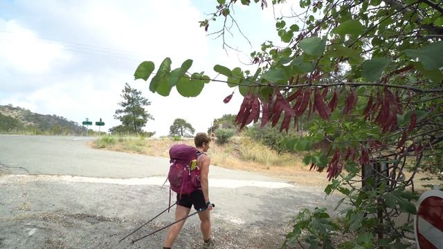 E4 trail: Lysos -Stavros tis Psokas. Hiking in Cyprus (p.1) смотреть онлайн