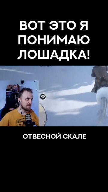Арабская лошадь смотреть онлайн