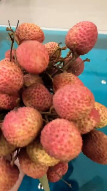 Lichi #shorts смотреть онлайн