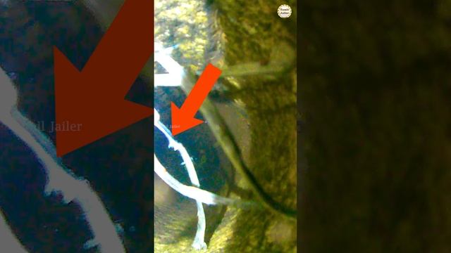 Camera Inside Deep Borewell