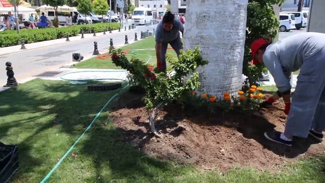 BODRUM YAZA RENGARENK GİRİYOR смотреть онлайн