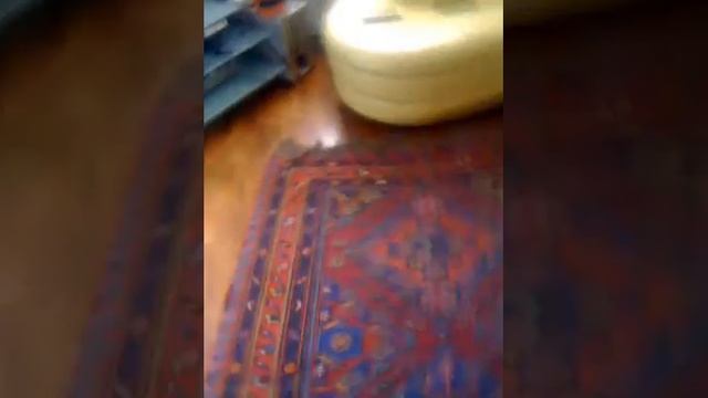 Пончик и мячик