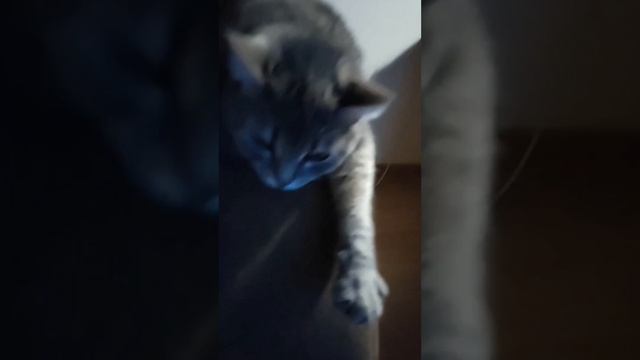 Не мешайте я в нирване! смотреть онлайн