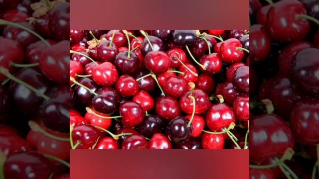 اجمل صور الكرز ♥️♥️♥️♥️♥️♥️ смотреть онлайн