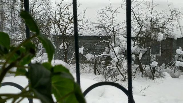 Масла много не бывает!