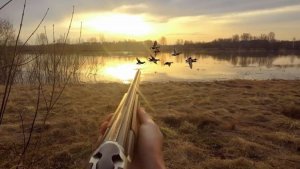 Открытие Сезона Охоты на СЕЛЕЗНЕЙ с Подсадной. 2025.