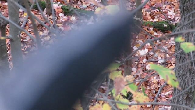 2020 Deer Season EP. 4 Meeting Up With Philip Byers Outdoors! Michigan Public Land смотреть онлайн