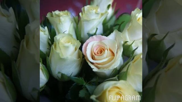 5 апреля 2016 г. смотреть онлайн