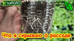 ЧТО Я СКРЫВАЮ О СВОЕЙ РАССАДЕ? Почему у вашей рассады могут быть слабые корни и вытягивание?