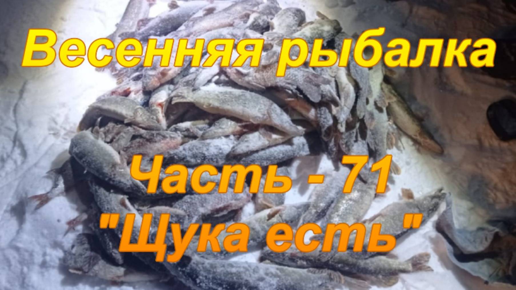Весенняя рыбалка. Часть - 71. "Щука есть". смотреть онлайн