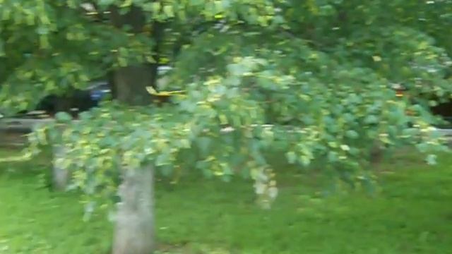 Кировоградская ул. д. 23 А смотреть онлайн