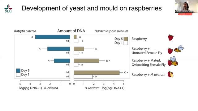 Tema: Interacciones en las que participan microorganismos. Clase 2. Guillermo Rehermann. смотреть онлайн