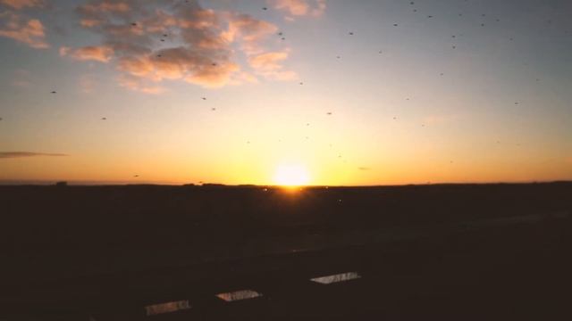 Calming video#10 смотреть онлайн