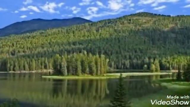 Эдельвейс 🌹 смотреть онлайн