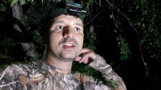 CACERIA De DIA Y De NOCHE смотреть онлайн
