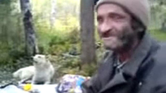 Пьяный дед, отжигает коней, Ржака смотреть онлайн