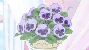 Чарми Китти 1